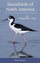 Shorebirds Of North America by Dennis R. Paulson (2005, Paperback)