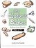 Book: The Clueless Baker Evelyn Raab, Paperback