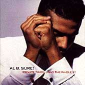 Private Times... and the Whole 9! by Al B. Sure! (Cassette, Oct-1990, Warner Bros. Records Record Label)