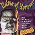 Shivers: House of Horror by Sound Effects (CD, Sep-1999, Peter Pan ISP)