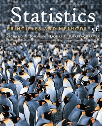 Statistics by Gouri K. Bhattacharyya, Richard A. Johnson (2005, Hardcover)