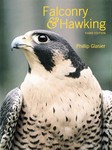 Falconry and Hawking by Phillip Glasier (2006, Hardcover, New)
