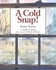 A Cold Snap by Audrey B. Baird, Patrick O'Brien (2002, Illustrated, Reinforced Hardcover)