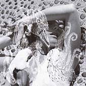 Bjork - Vespertine (CD 2005)