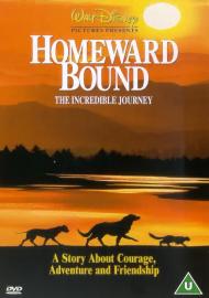 Homeward Bound (DVD 2001)