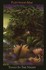 DVD: Fleetwood Mac - Tango In The Night 2003