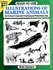 Book: Ready-To-Use Illustrations of Marine Animals - Bob Giuliani