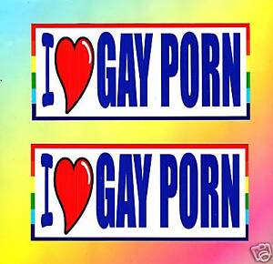 FUNNY MAGNETIC BUMPER STICKERS,RUDE~ I LOVE GAY PORN | eBay