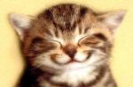 iowacat