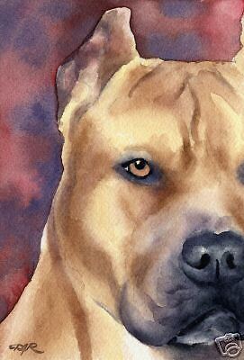 PIT BULL TERRIER Dog Watercolor 8 x ...