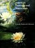 Book: American Drawings and Watercolors from the Wadsworth Atheneum - Wadsworth Atheneum