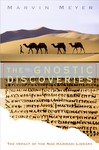 The Gnostic Discoveries by Marvin Meyer (2005, Hardcover)