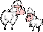 sheepkisser