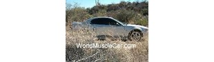 WorldMuscleCar Parts