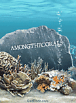 amongthecorals