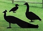 NEW** Lawn Art Yard Shadow/Silhouette   Wood Duck  