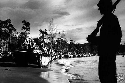 WWII Water Buffalo Amphibious Tanks 1944 Cape Sansapor  