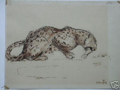 Oskar Frey EBINGEN Döffingen Leopard Gepard Knochen