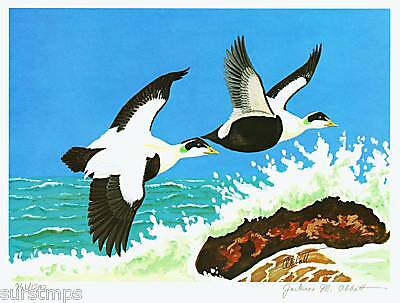 RW24 Federal Waterfowl Print w/ MINT Stamp MOGNH   VF  