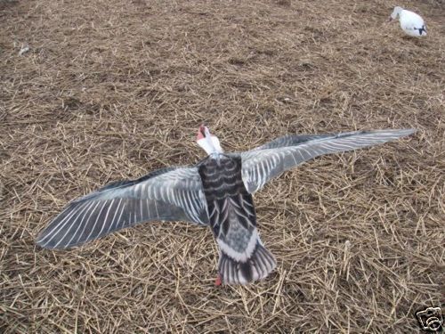 FLYING Blue Snow Goose Decoy BY Sillosock Decoys  