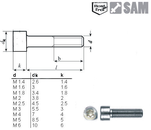 25 Stück M3X6 Torxschraube Zylinderkopf ISO 14579 V2A