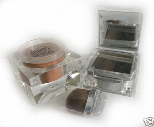 Models Prefer Aquavit Bronzer Brush Mirror Full Size